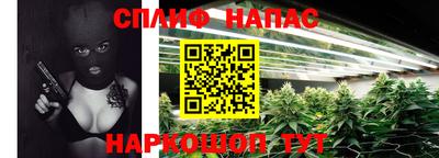 гашик Бузулук